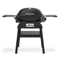 Gril Weber Q 2200N Stand